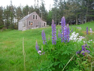 HSE WITH LUPINE-1AE