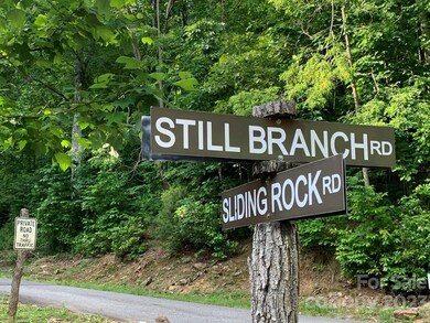 Lot 8 Deep Spring Rd, Dillsboro, NC 28779 - photo 6