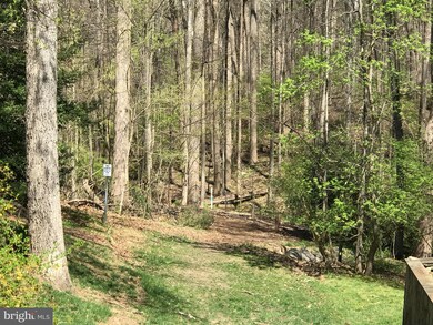 9605 Weathered Oak Ct, Bethesda, MD 20817 - photo 4