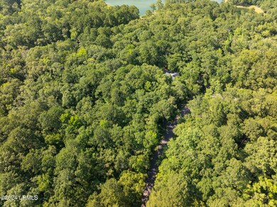 120 Bull Point Drone-1