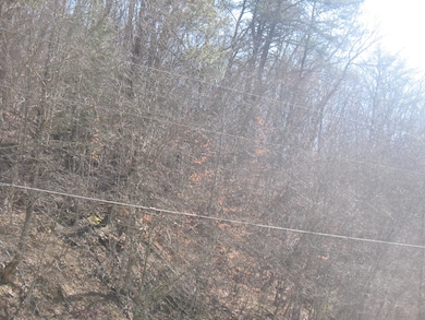 1391 Long Branch Rd, Oneida, KY 40972 - photo 7