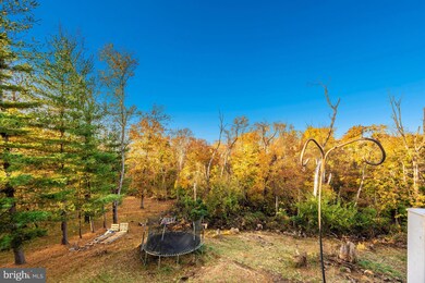 201 Wintergreen Ln, Brunswick, MD 21716 - photo 6