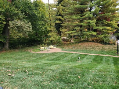 Backyard 3