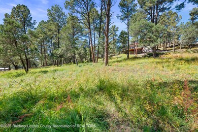 112 Course View Dr, Ruidoso, NM 88345 - photo 4
