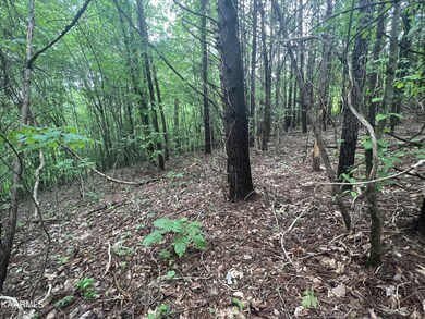 7 River Front Dr, Sparta, TN 38583 - photo 4