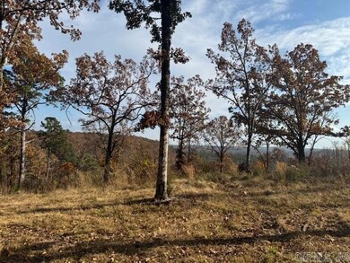 unlisted-address, Conway, AR 72034 - photo 3