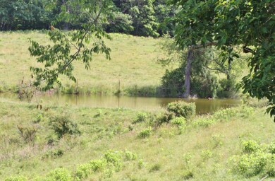 Pond