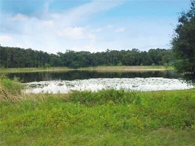 219 Sagecrest Dr, Ocoee, FL 34761 - photo 4