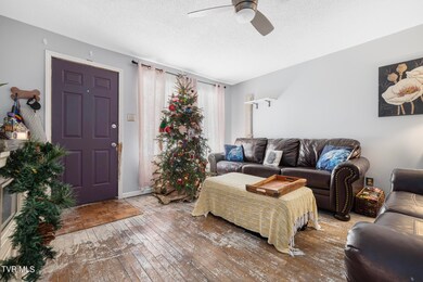 721 E Maple St, Johnson City, TN 37601 - photo 7