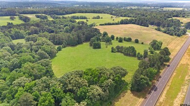 20046 Us Hwy 69s, Alto, TX 75925 - photo 5