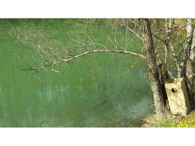 Stocked Fish Pond