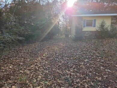 156 Pottawattamie Dr, Cherokee Village, AR 72529 - photo 3