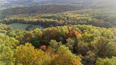 Lot 16 Little Ivy, Deep Gap, NC 28618 - photo 7