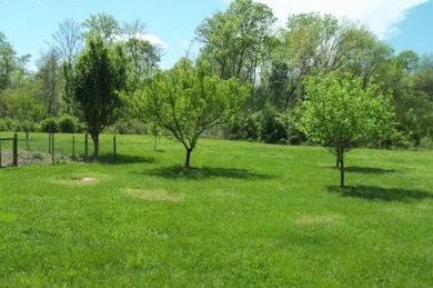 Gorgeous fruit trees. 