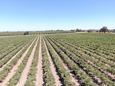 4175 W Sargent Rd, Lodi, CA 95242 - photo 4