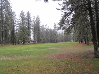 160 W Trappers Loop, Chewelah, WA 99109 - photo 2