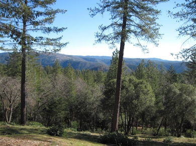 mountain and Canyon views in the forest