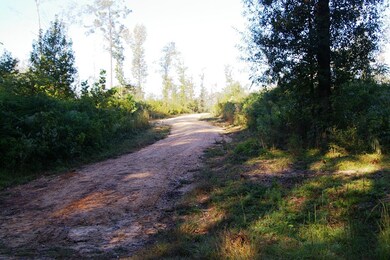 XXX Spring Creek Ln, Magnolia, MS 39652 - photo 3