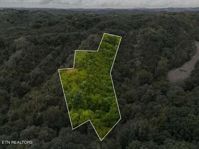 Witt Hollow 2