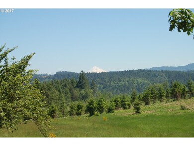 14941 S Buckner Creek Rd, Mulino, OR 97042 - photo 3