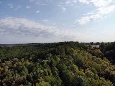 Hodges Cemetery Rd, Brookside, AL 35068 - photo 7