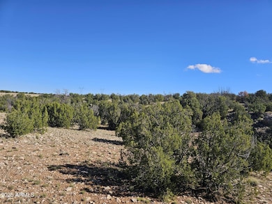 TBD Chevelon Acres --, Heber, AZ 85928 - photo 5