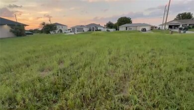 View of yard at dusk