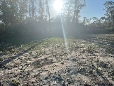 2004 Canton Ave, Alva, FL 33920 - photo 2