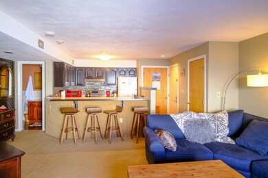 350 Mountain Rd unit B107, Ludlow, VT 05149 - photo 6