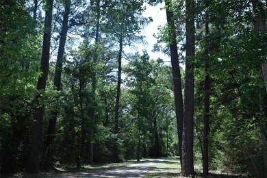 01 Caddo Trail, Magnolia, TX 77354 - photo 3