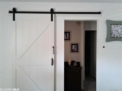 Barn Door in Living Room