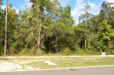 40 Honey Branch Ln, St. Augustine, FL 32092 - photo 7