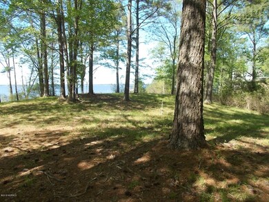 002 View from Lot Looking toward Pamlico