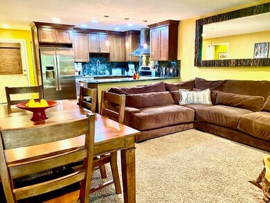 226 N Pine Tree Way unit d-3, Brian Head, UT 84719 - photo 7