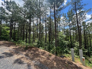 View of woods
