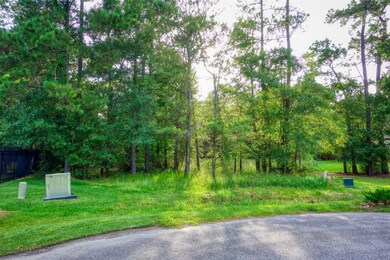 28607 Laurens Landing, Spring, TX 77386 - photo 6