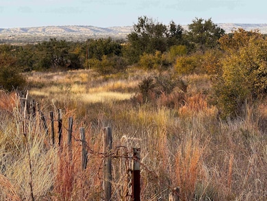 0 Hickory Grove Rd unit HLM175862, Pontotoc, TX 76856 - photo 2