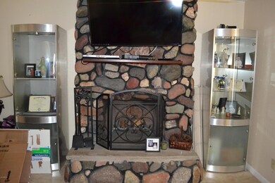 FIREPLACE IN LIVING ROOM