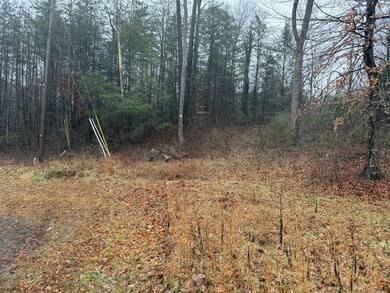 40 Forest Way Cir, Burnside, KY 42519 - photo 5