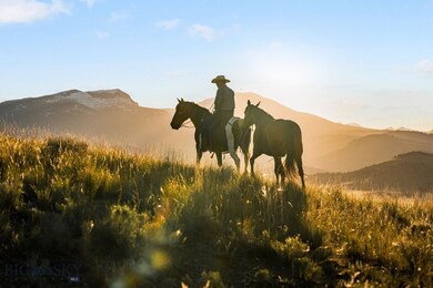 A horse paradise!