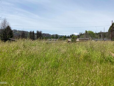 Grassy lot