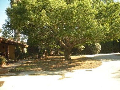 Large Mature Shade Trees in Front