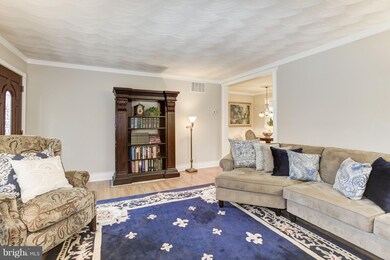 1016 7th St, Laurel, MD 20707 - photo 7