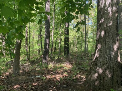 47 Vics Ct, Albany, NY 12205 - photo 5