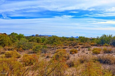 38200 N 99th Way Scottsdale AZ-large-004