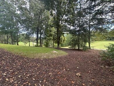 101 Cottage Ln, Toccoa, GA 30577 - photo 6