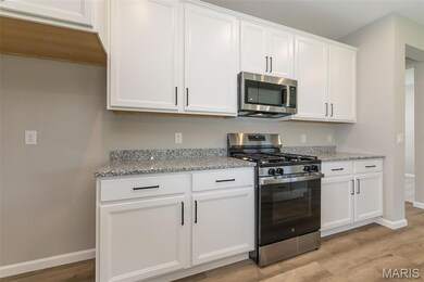 3336 Vine Clad Hill Dr, Arnold, MO 63010 - photo 7