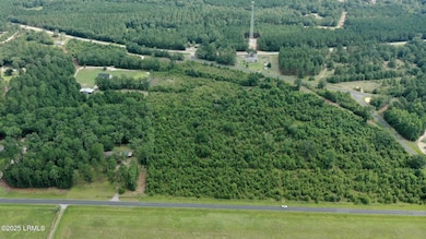 Tbd Mulberry Rd, Barnwell, SC 29812 - photo 7