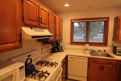 14 Ridge Drive C unit 38, Woodstock, NH 03262 - photo 7