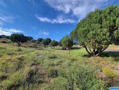 Lot 3 Copper Ridge Dr, Silver City, NM 88061 - photo 4